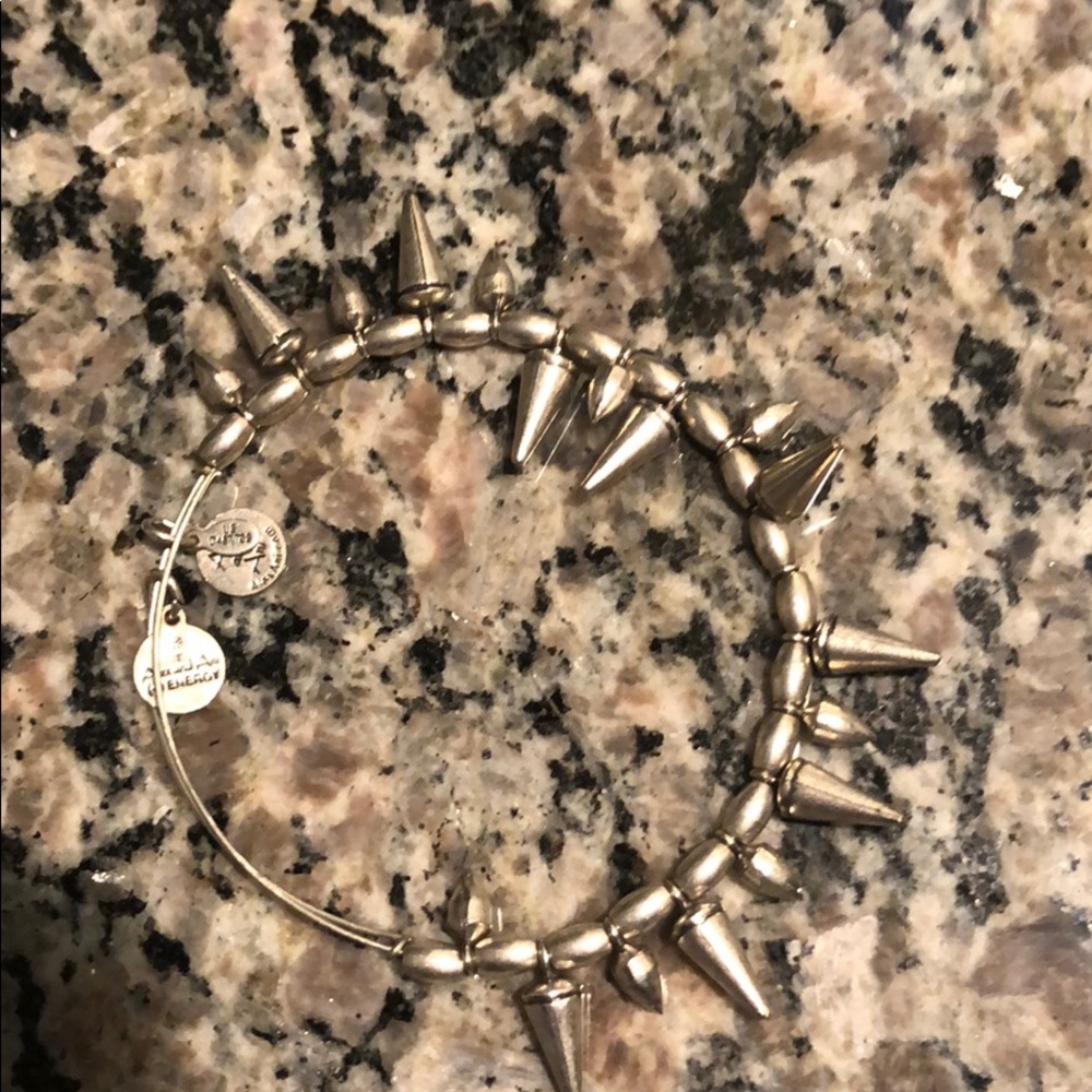 Alex and Ani spiked